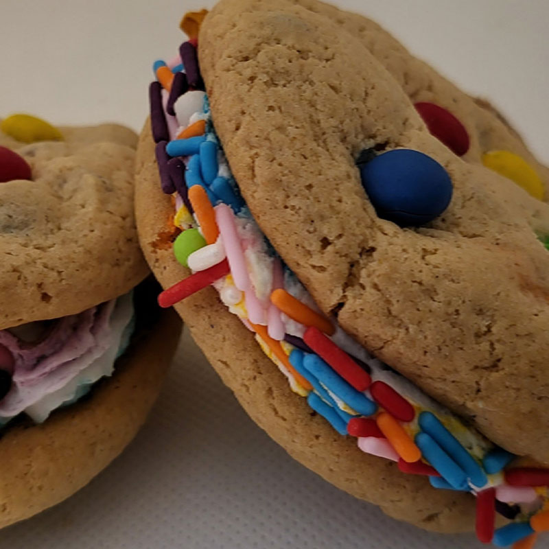Chocolate Chip Sandwich